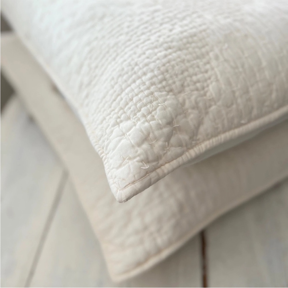 2 Pottery Barn Cotton & Silk Cross Stitch Standard Shams Ivory Cream White Pick